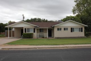 1253 3rd St, Mesa, AZ 85203-8113