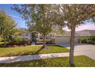 15715 Ibisridge Dr, Lithia, FL 33547-3895