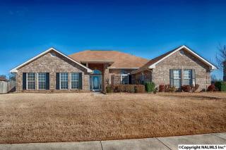 113 Bay Pointe Ln, Madison, AL 35758-8350