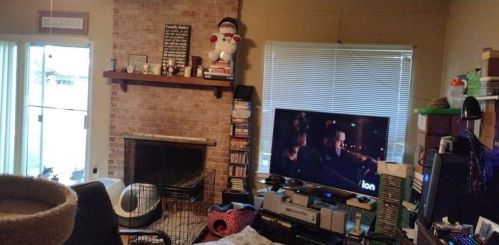 9812 Dallum Dr, Austin TX  78753-4312 exterior