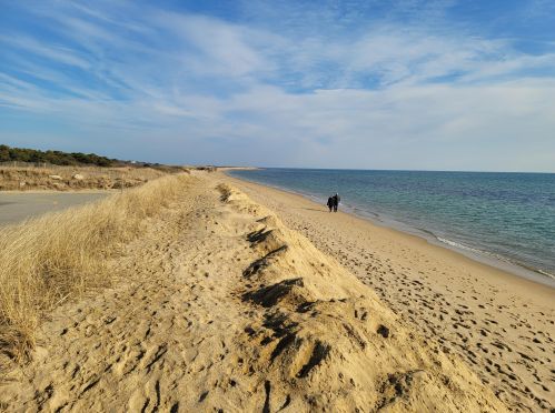 76 Blue Castle Dr, Mashpee MA 02649 exterior