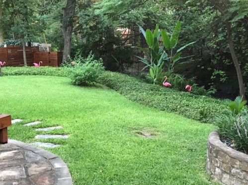 1403 Crestwood Rd, Austin TX 78722-1114 exterior