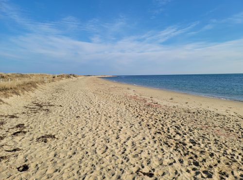 61 Blue Castle Dr, Mashpee MA 02649 exterior