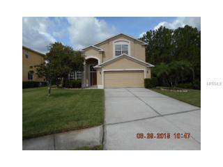 15910 King James Ct, Odessa FL  33556-5728 exterior