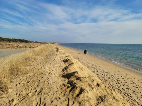 61 Blue Castle Dr, Mashpee MA 02649 exterior