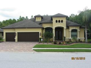 15312 Azra Dr, Odessa FL  33556-1863 exterior