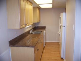 1725 Toomey Rd, Austin TX  78704-1033 exterior