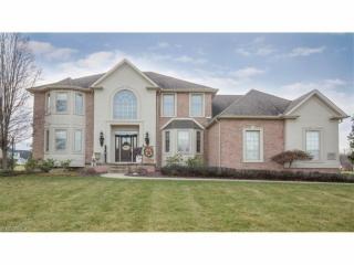 1115 Fox Den Trl, Canfield OH  44406-8309 exterior