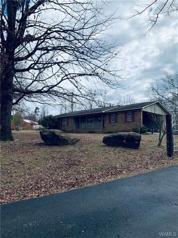 11042 Hagler Coaling Rd, Coaling AL  35453-2708 exterior