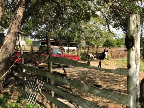 10448 Fm 812, Austin TX 78719-9735 exterior